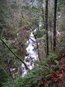 12.23.05 Elowah Falls 030 